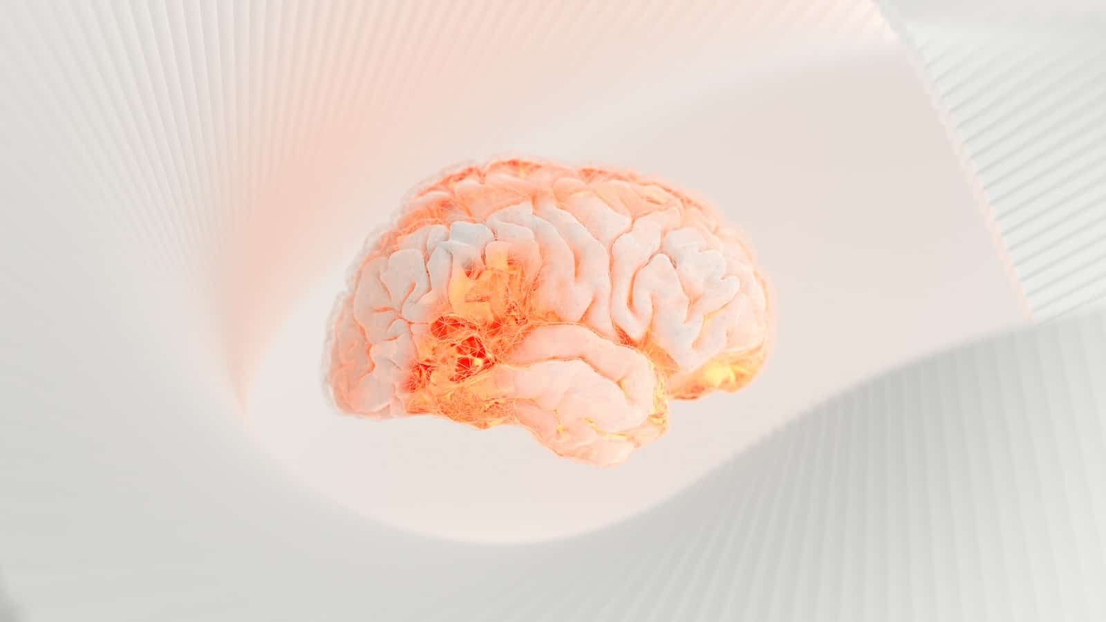 هل سيتم استبدال الدماغ بالآلات؟