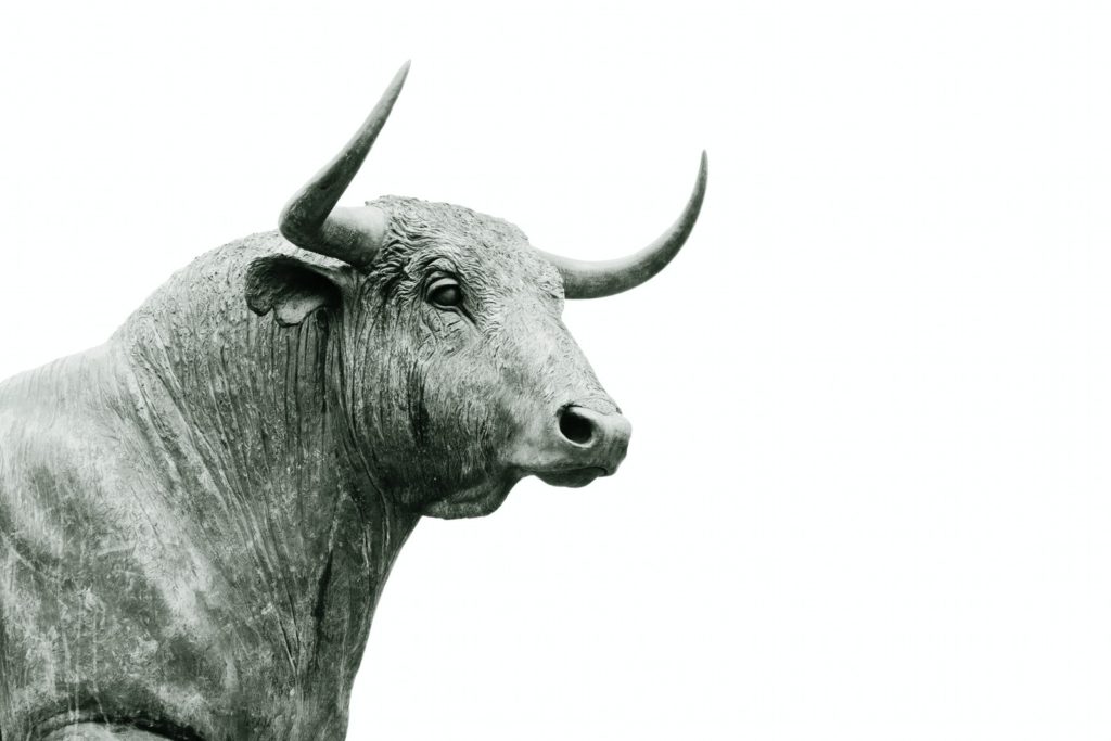foto en escala de grises del toro